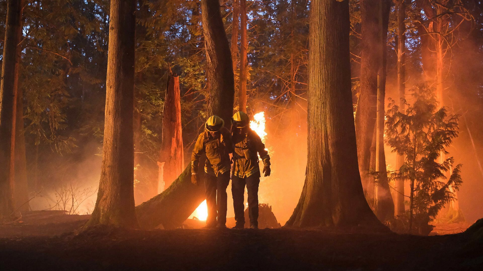 Fire Country season 3 (Image via CBS)