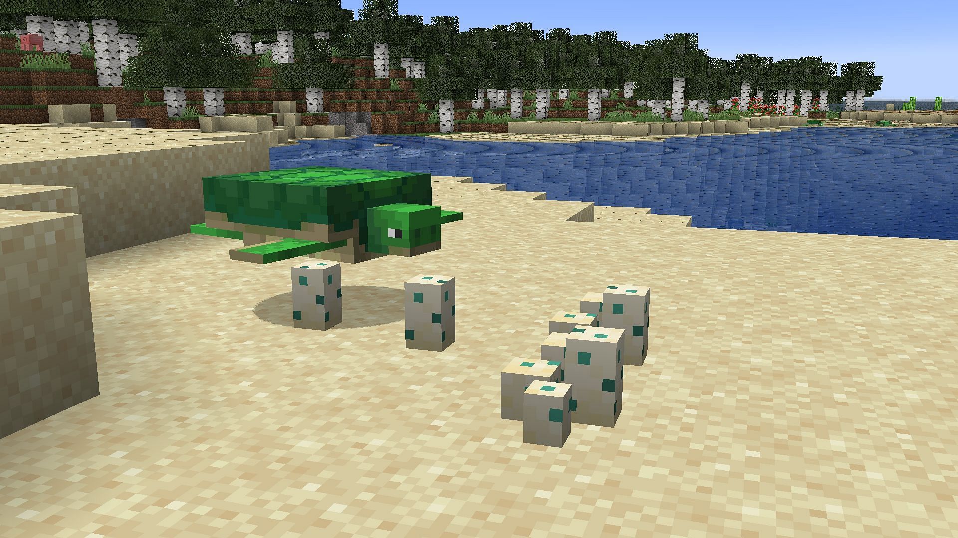 Feed seagrass to two turtles to make them breed (Image via Mojang Studios)