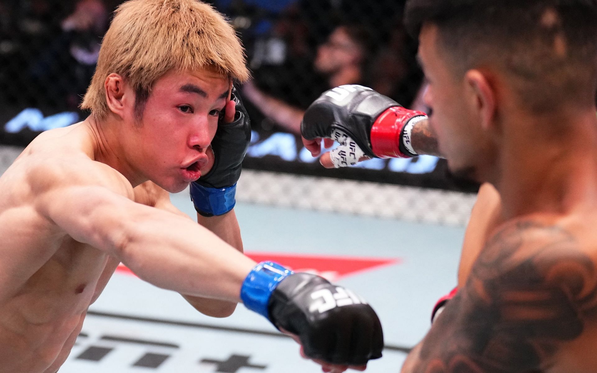 Tatsuro Taira put on a classic with Brandon Royval last night [Image: @ufc on X]