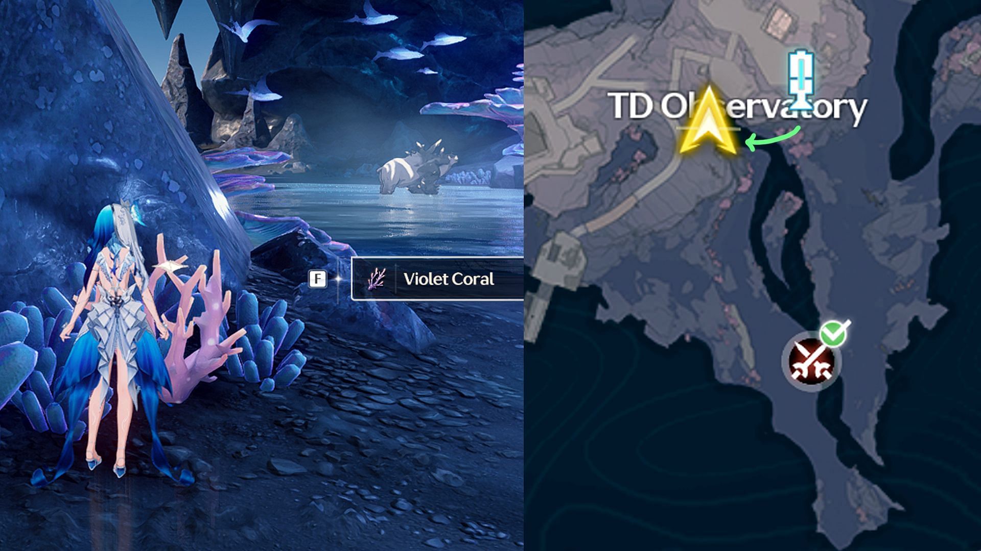 Route #1 for collecting Violet Coral in the TD Observatory area (Image via Kuro Games)