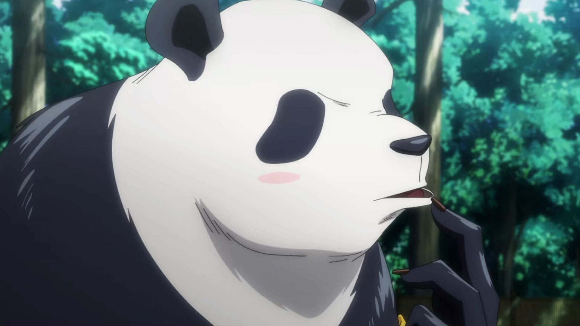 Panda as shown in the anime (Image via MAPPA)