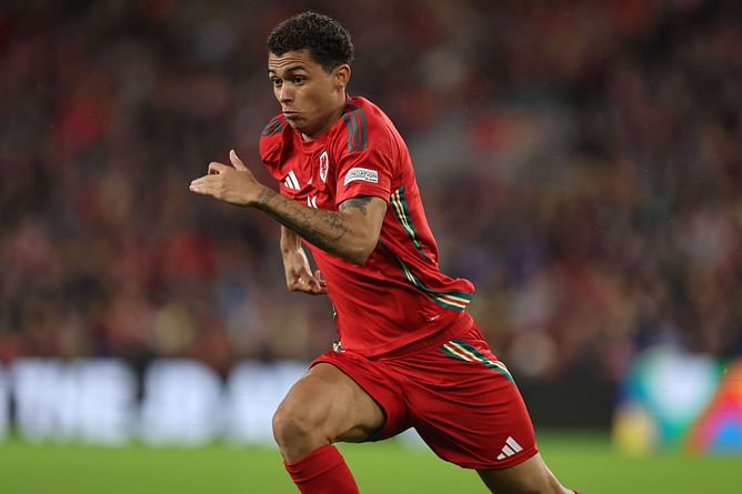 Wales vs Montenegro Prediction and Betting Tips | October 14th 2024