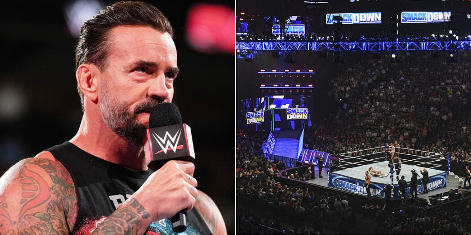 CM Punk is the Voice of the Voiceless (Images via WWE.com)