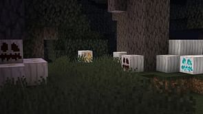 Minecraft fan creates Pale Pumpkins, the community wants them to be official