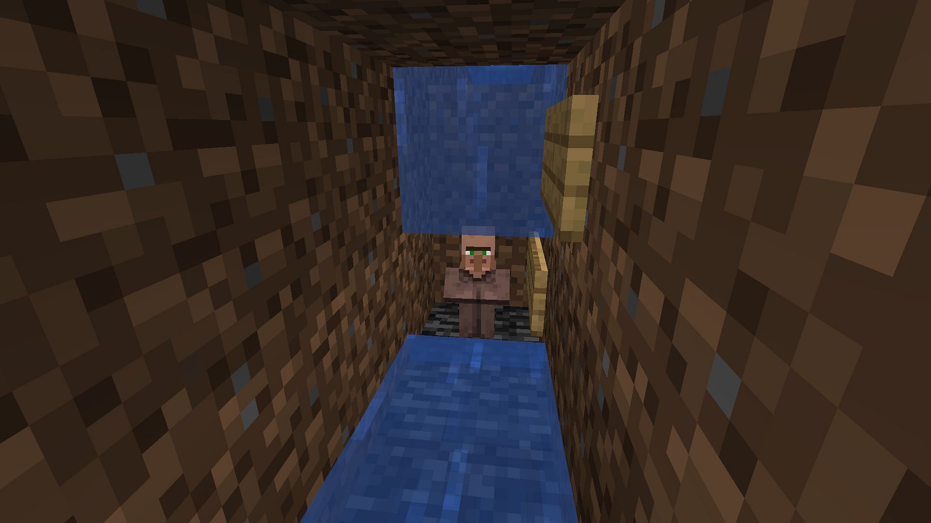 The baby villager will flow down the stream to the catchment area (Image via Mojang Studios)