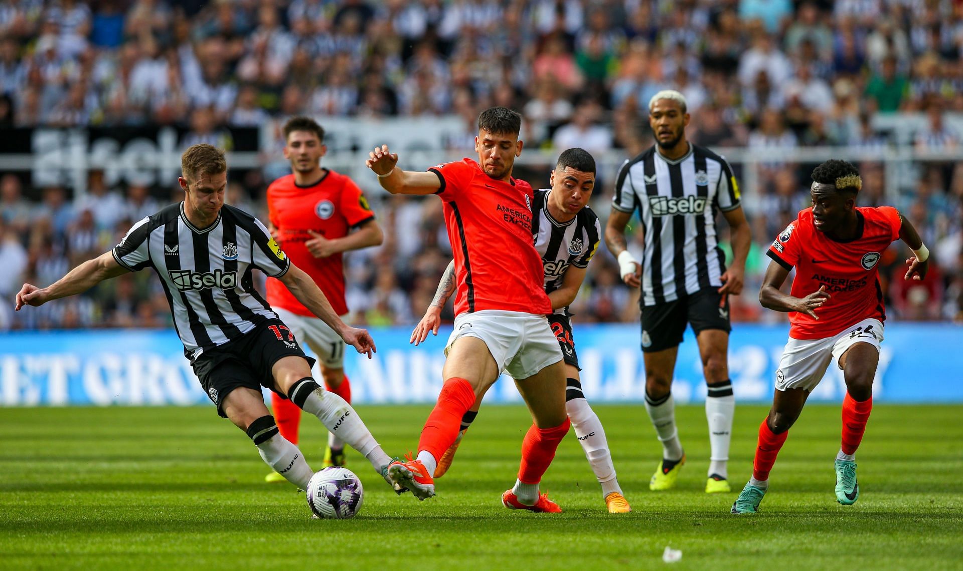 Newcastle United v Brighton &amp; Hove Albion - Premier League - Source: Getty