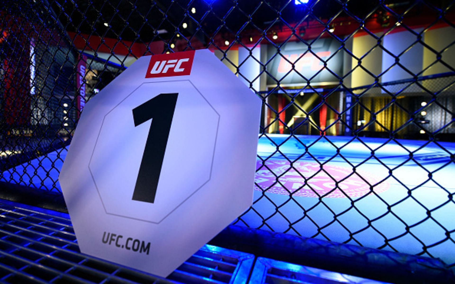 UFC octagon - Who