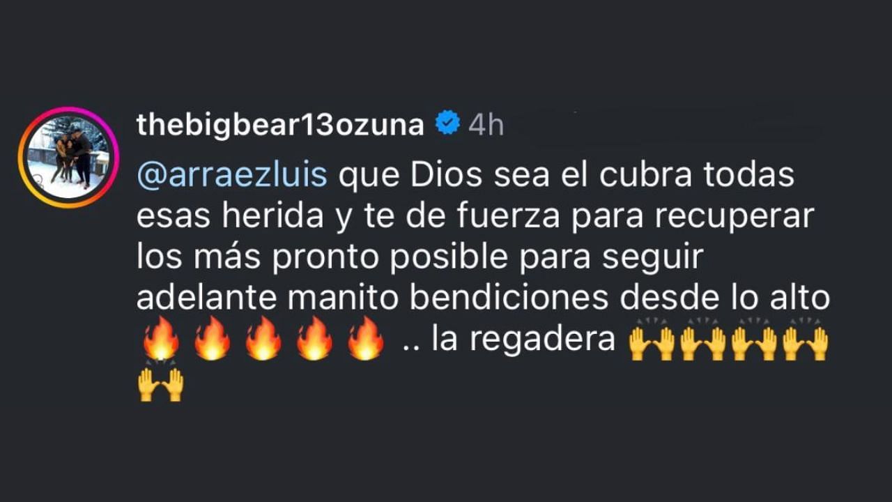 Screenshot of Marcell Ozuna's comment (Image from - Instagram.com/@arraezluis)