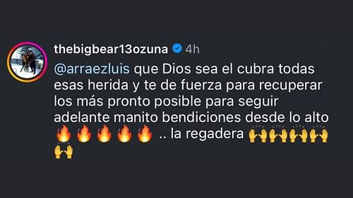 Screenshot of Marcell Ozuna's comment (Image from - Instagram.com/@arraezluis)