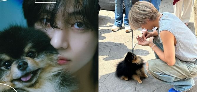 "The way he loves Tan and misses him" — ARMYs react as BTS' Taehyung leaves a heartfelt comment on his 2022 Instagram post with Yeontan
