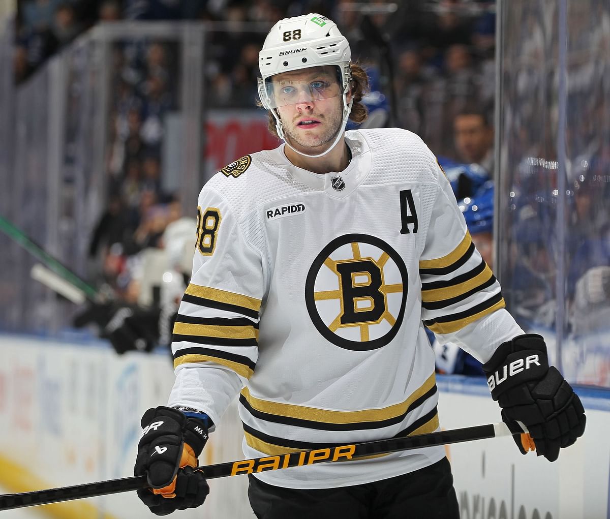 David Pastrnak Contract Breakdown, History, Salary and Bonuses