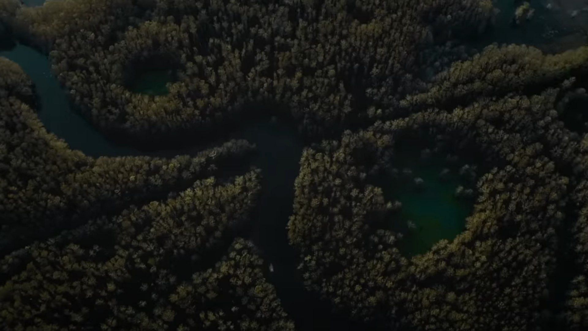 A still from the 2024 movie Caddo Lake (Image via Max)