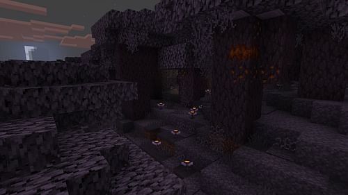 The eyeblossom plant opens in the night (Image via Mojang Studios)