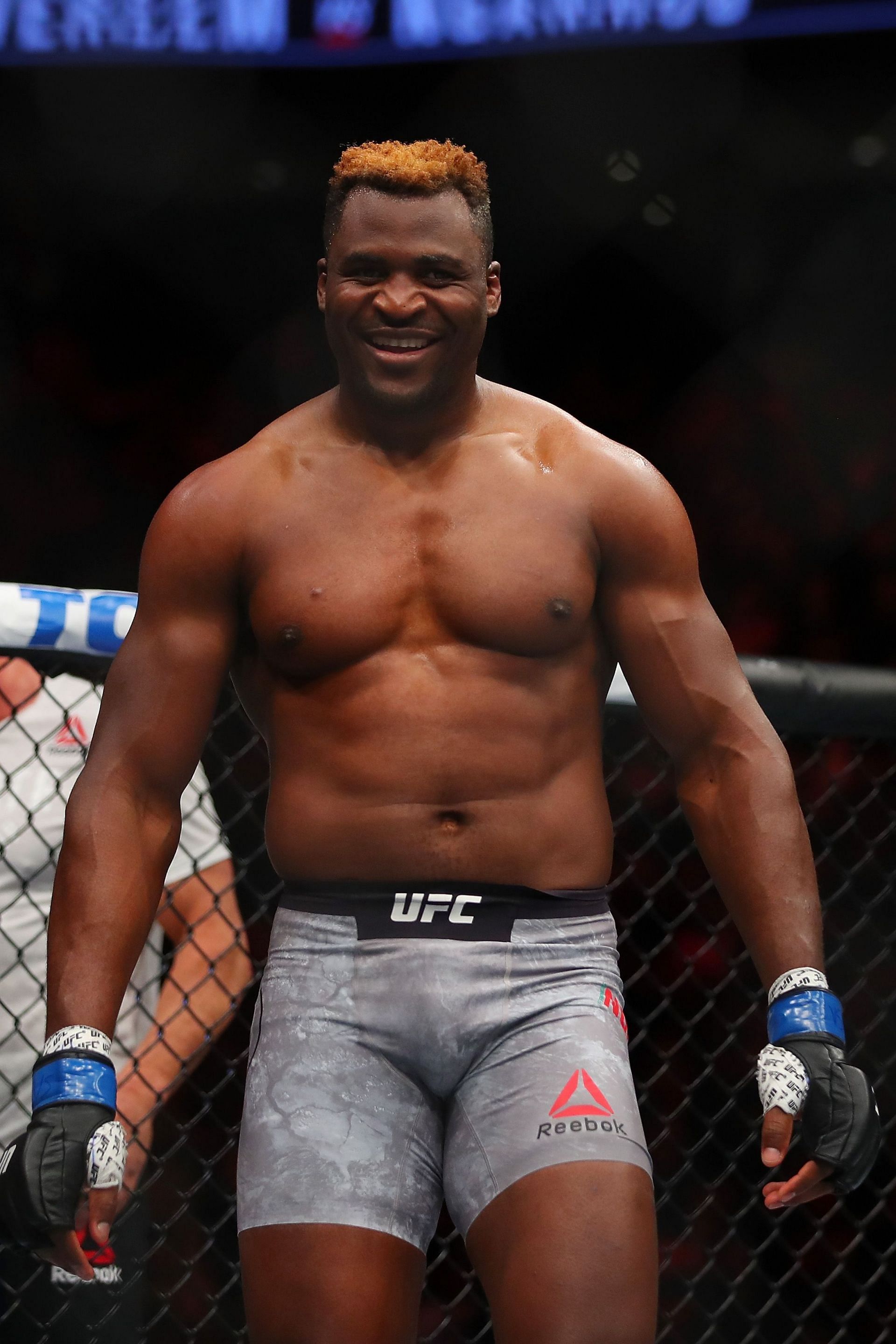 UFC 218: Overeem v Ngannou