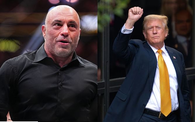 Top UFC bantamweight reacts after Joe Rogan uploads Donald Trump episode on X following YouTube search difficulty: "Can’t stop the man from winning"