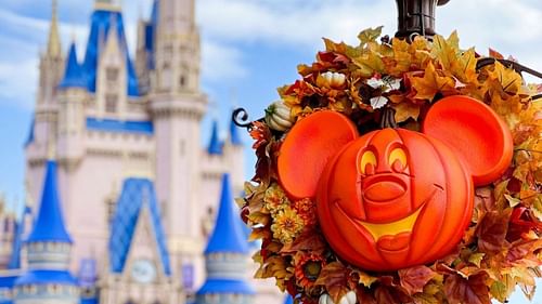 Disney World Florida decorations for its October fall theme, rumoured to be affected by Hurricane Milton (via @waltdisneyworld / Instagram)