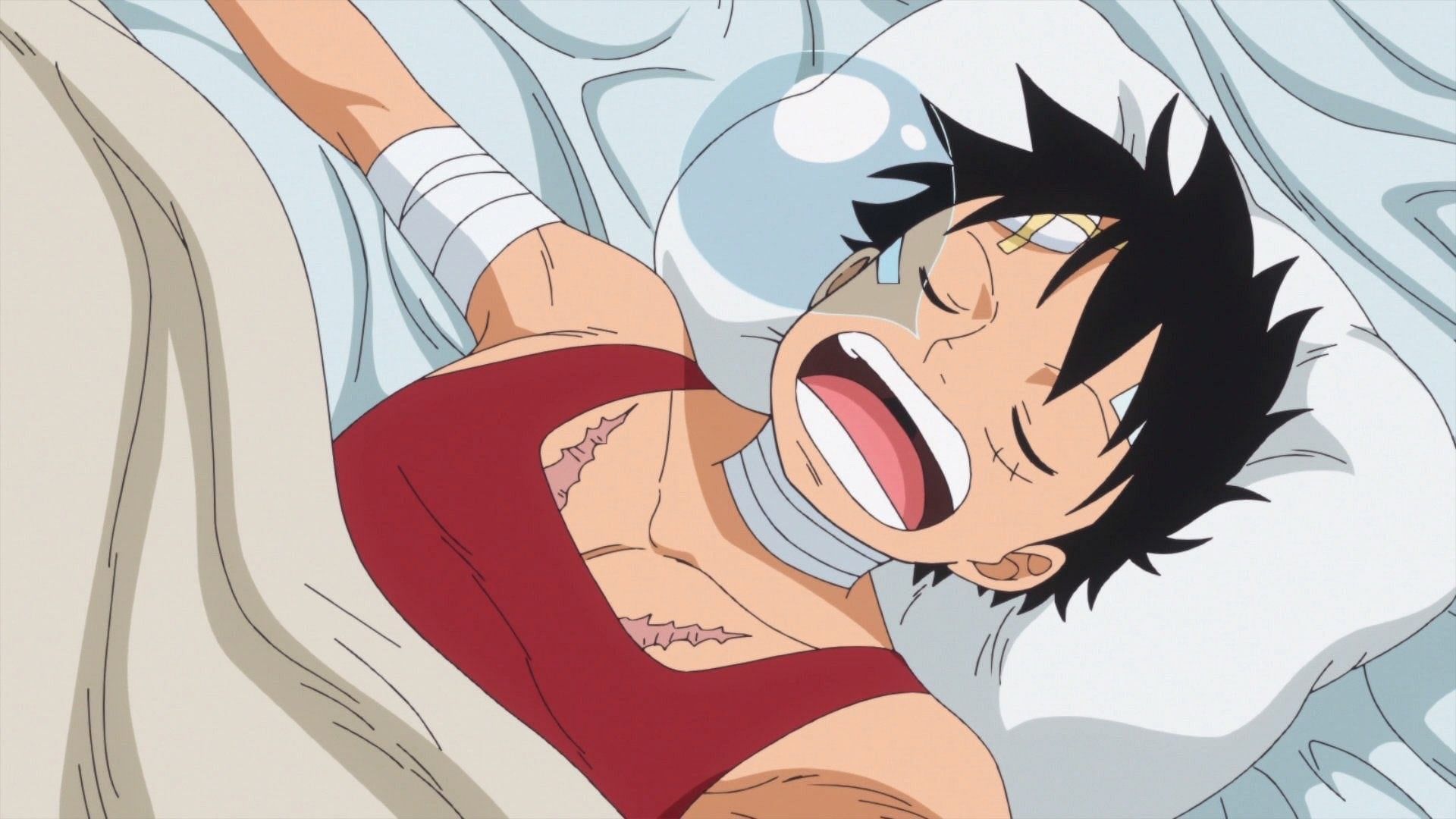 Like Luffy, Oda also pushes his body to its limits to produce the series, and deserves as much rest as he wants, whenever he wants it (Image via Toei Animation)