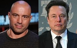Elon Musk finds amusement in Joe Rogan's X bio mockery of an ABC show host
