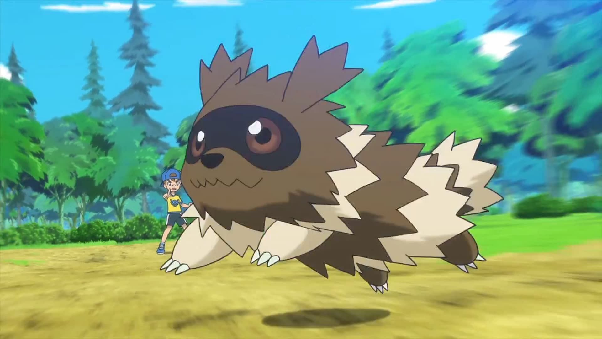 Zigzagoon as seen in the anime (Image via The Pokemon Company)