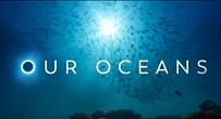 Who is the narrator in Netflix's Our Oceans? Everything to know about the cast behind the voice