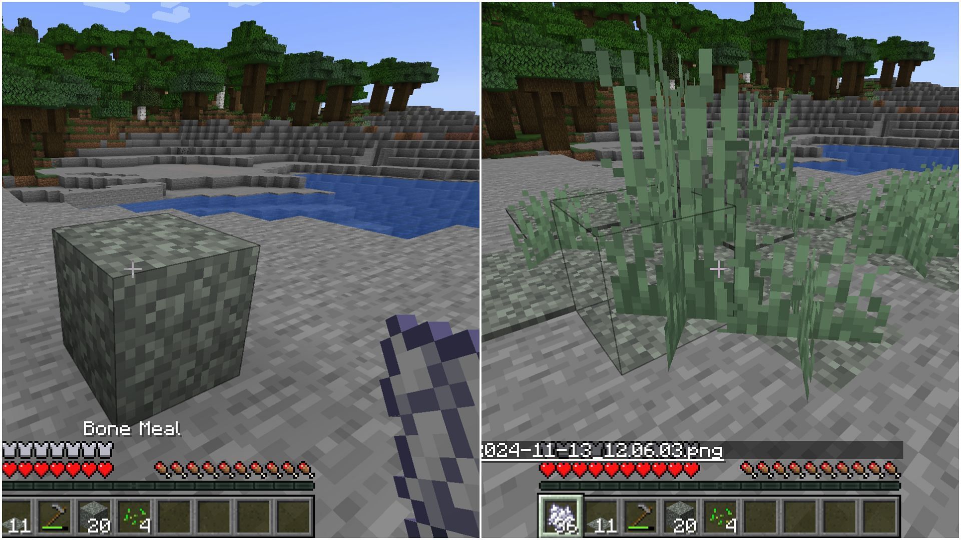 Apply bone meal to pale moss block to create more of them (Image via Mojang Studios)