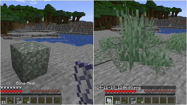 How to farm pale moss in Minecraft