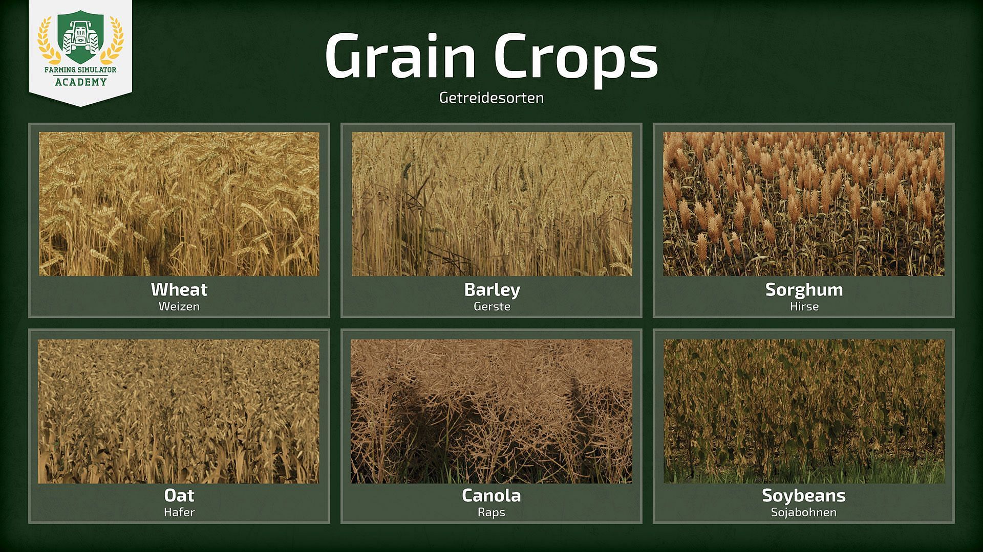 Grains in Farming Simulator 25 (Image via Giants Software)