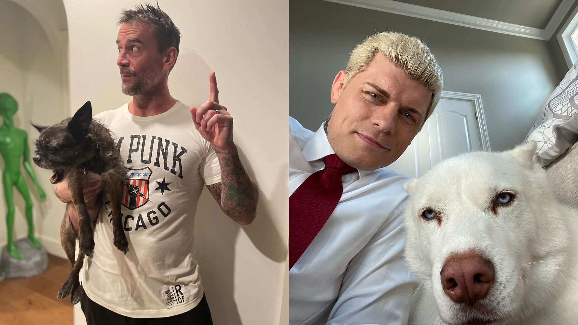 CM Punk and Cody Rhodes with their pets (Pictures Courtesy: Superstars