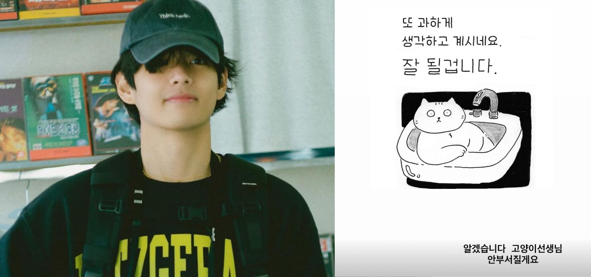 Taehyung posts &quot;overthinking cat&quot; picture featuring BTS