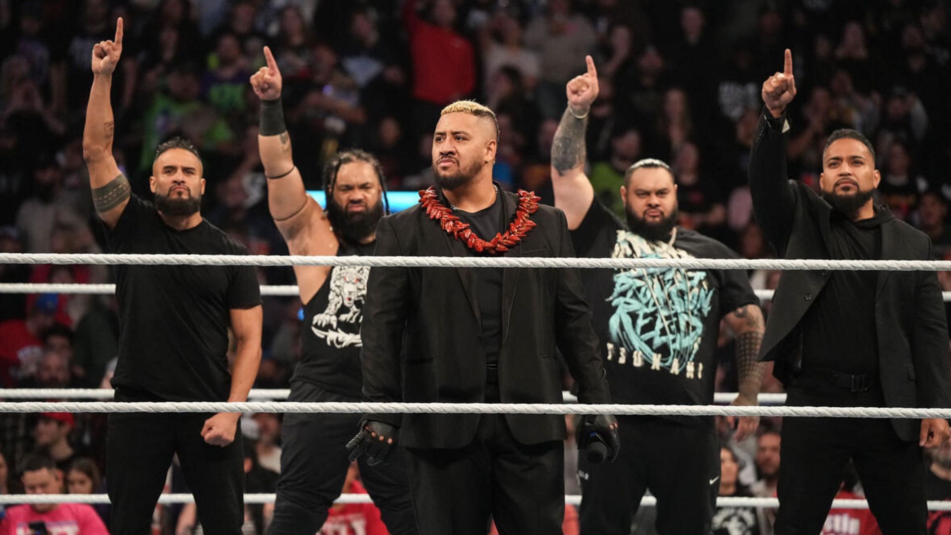 Solo Sikoa took over leadership of The Bloodline after WrestleMania XL. [Image Source: WWE.com]
