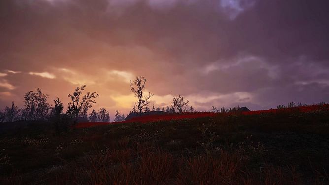 How to find Weird Flower artifact in Stalker 2