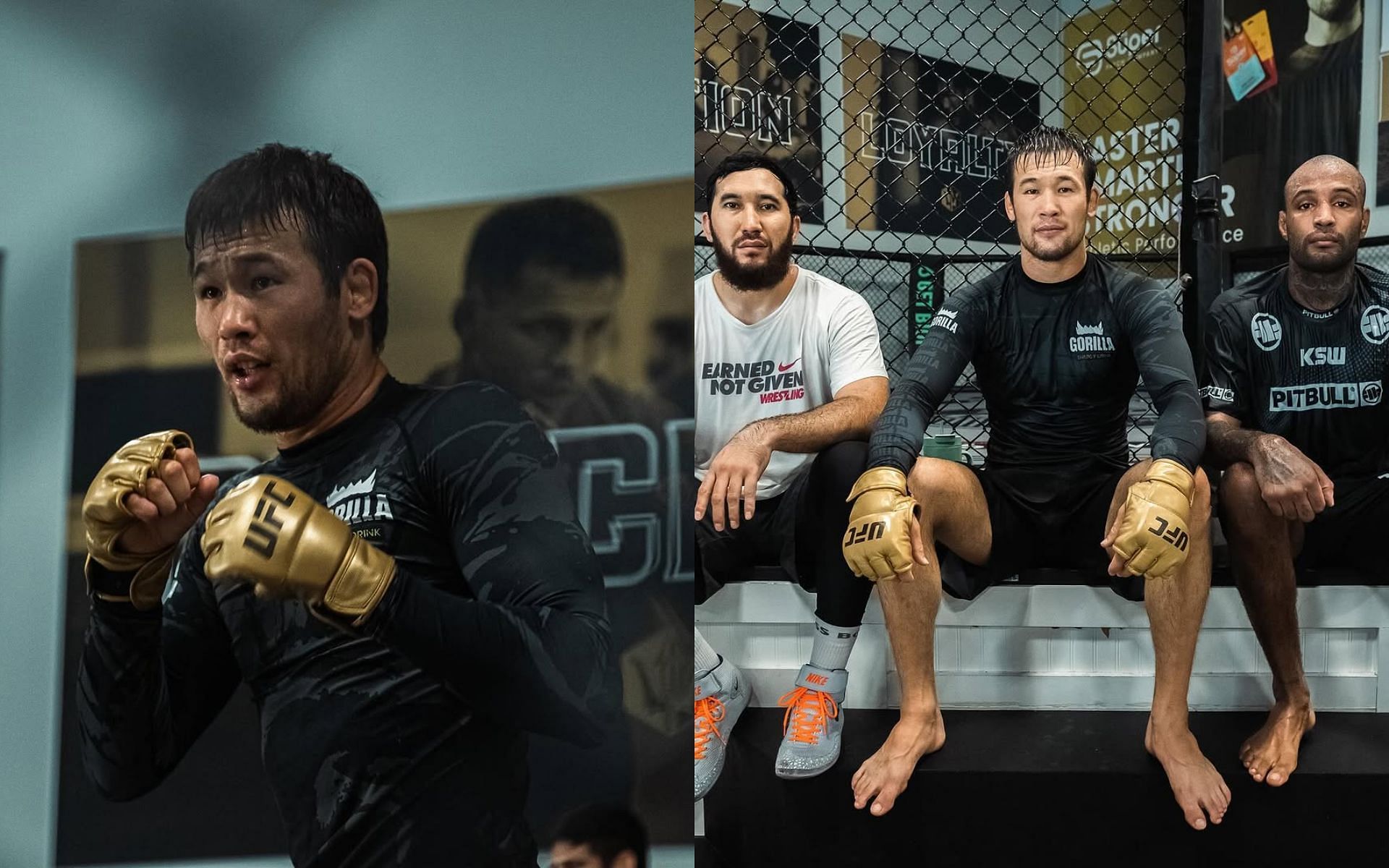 Shavkat Rakhmonov practicing with UFC golden gloves