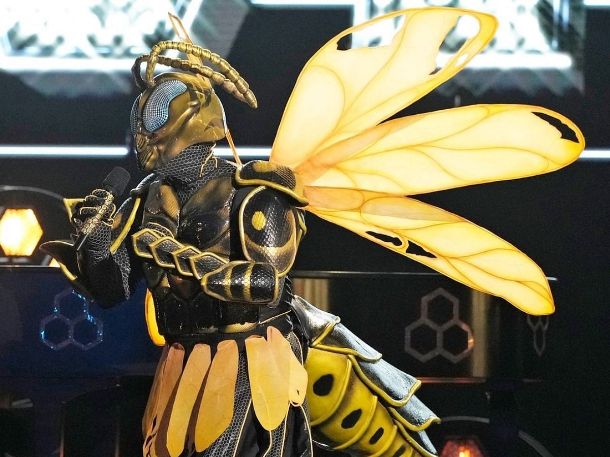 Wasp from The Masked Singer season 12 (Image via Instagram/@maskedsingerfox)