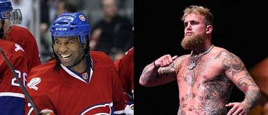 Ex-NHL enforcer Georges Laraque clears the air surrounding Jake Paul "breaking news"