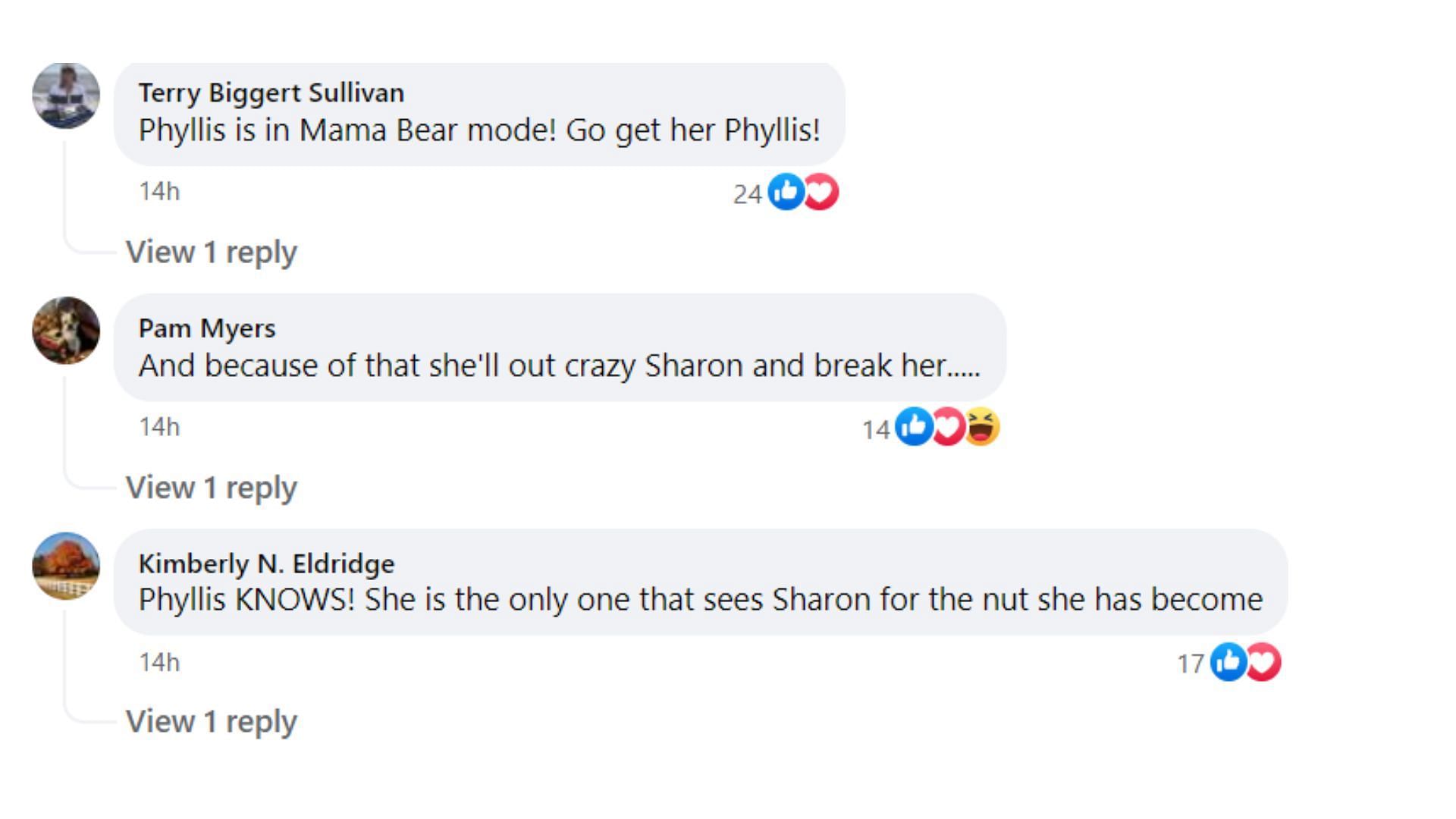 More fan reactions (Image via Facebook/Young and Restless Canadian Day Ahead Recaps - Soaps Spoilers)