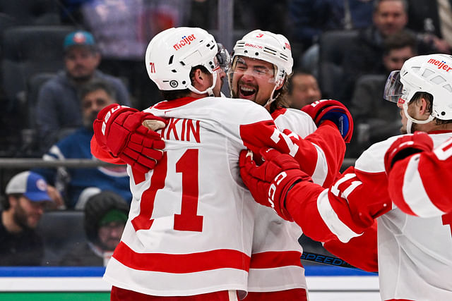 NHL: Detroit Red Wings at New York Islanders - Source: Imagn