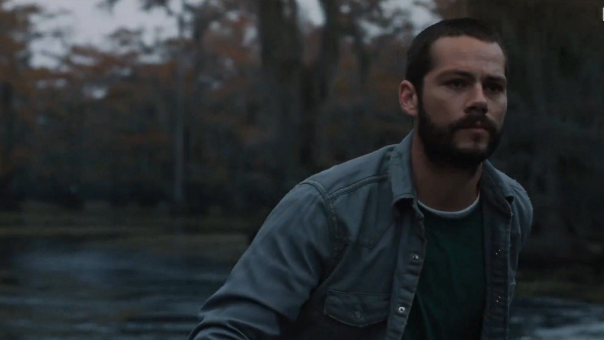 A still of the mystery thriller Caddo Lake (Image via X/@max)