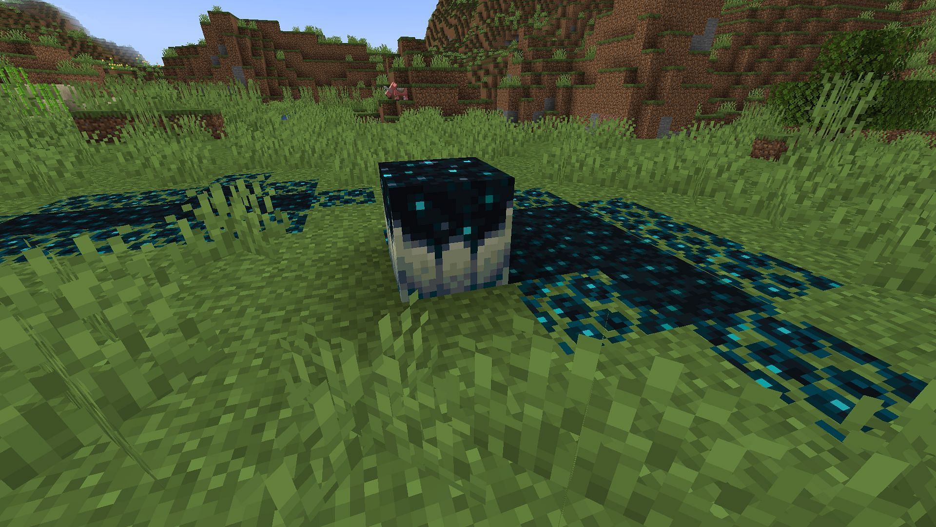 The sculk catalysts need more useful functions (Image via Mojang Studios)