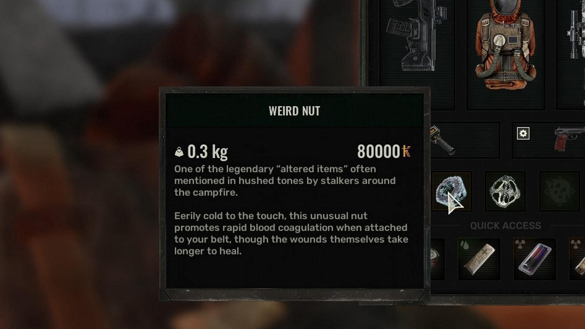 Weird Nut artifact stops the bleeding effect for your character (Image via GSC Game World)