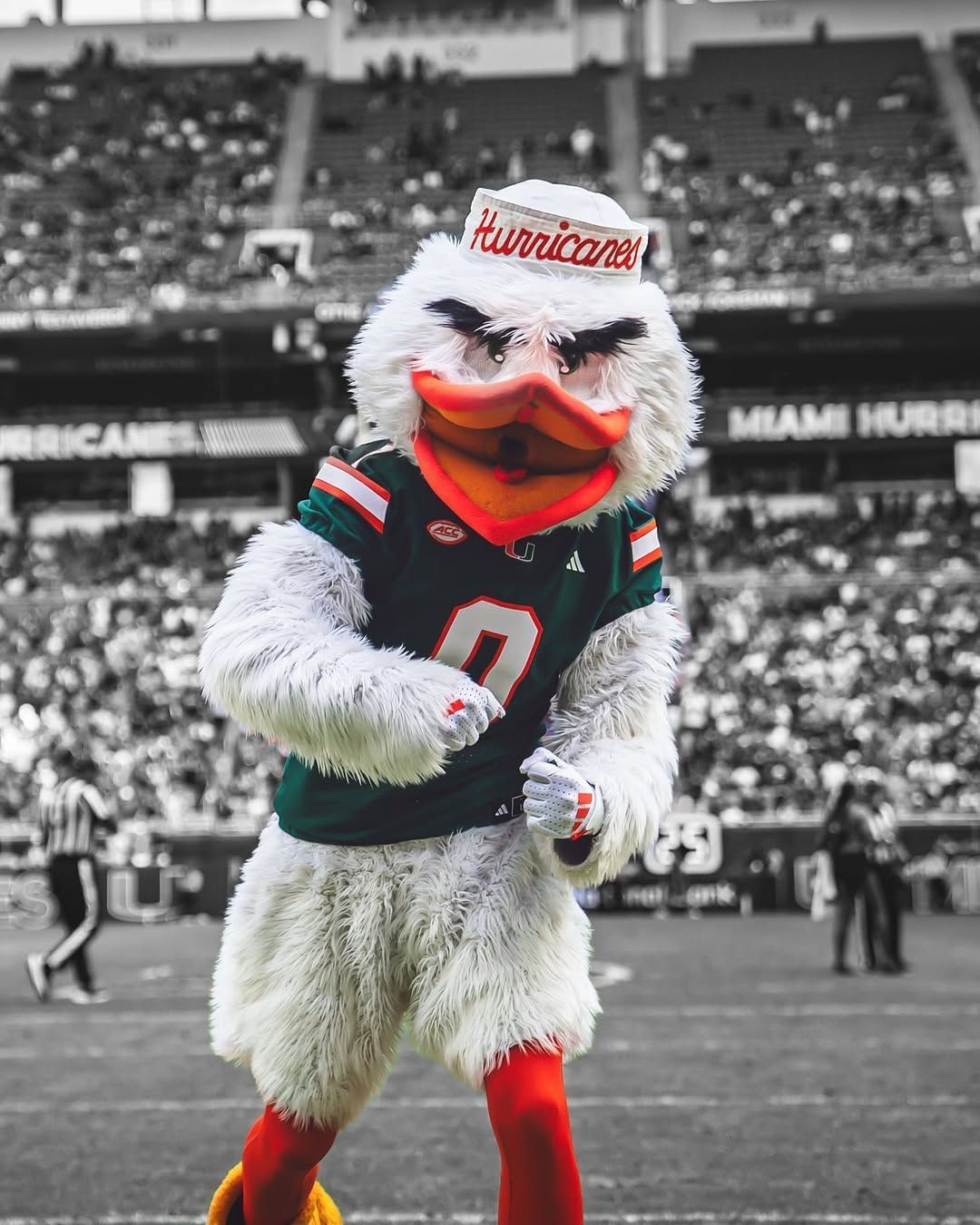 Miami Hurricanes mascot performing at a game