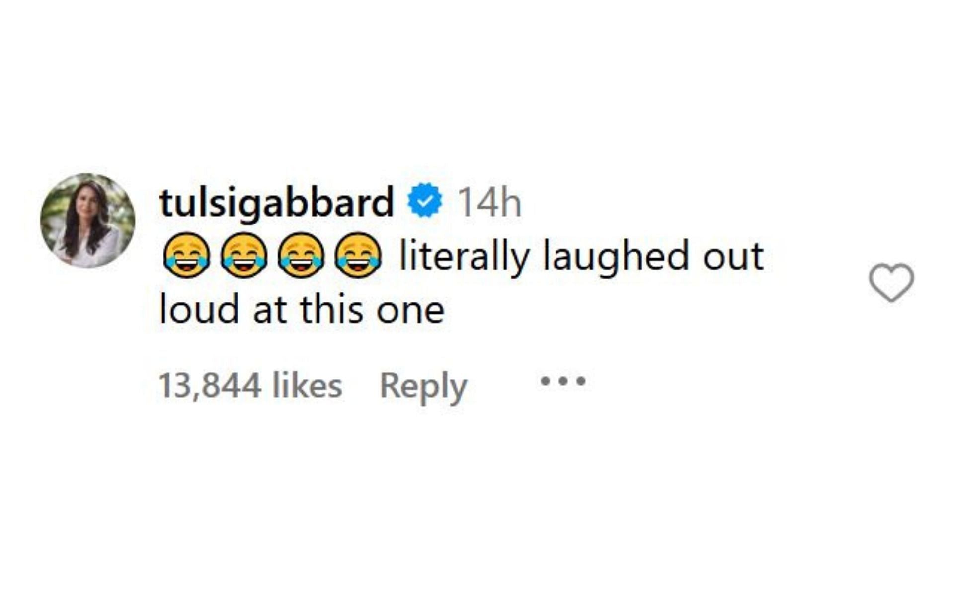 Tulsi Gabbard&#039;s comment. [Image credit: @joerogan on Instagram]