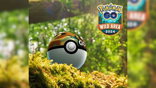 The GO Safari Balls will be a Wild Area event-exclusive item (Image via The Pokemon Company)