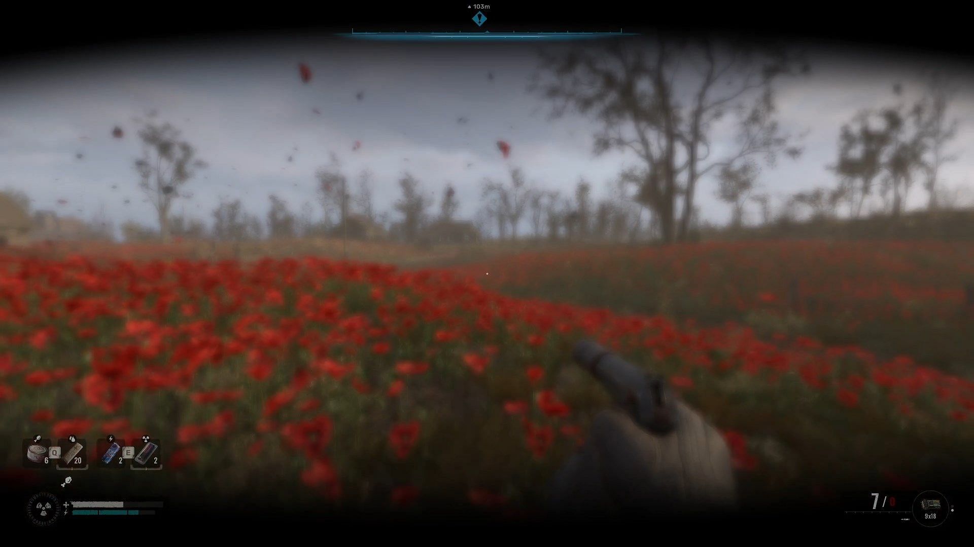 Avoid getting hit by the flower petals and consume energy drinks on the Poppy Field (Image via GSC Game World)