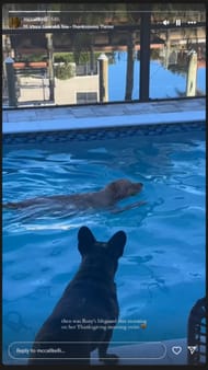 McCall Smith Instagram story - Source: @mccallkelli on Instagram