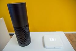 Amazon Alexa predicts the USA will "cease to exist" on February 20, 2031 in viral video posted by TikToker Lucy Blake