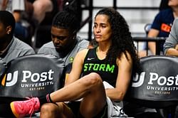 "Shorty thought she was Kobe": Skylar Diggins-Smith incurs fans 'hatred' amid vulgar outbursts and harassment claims