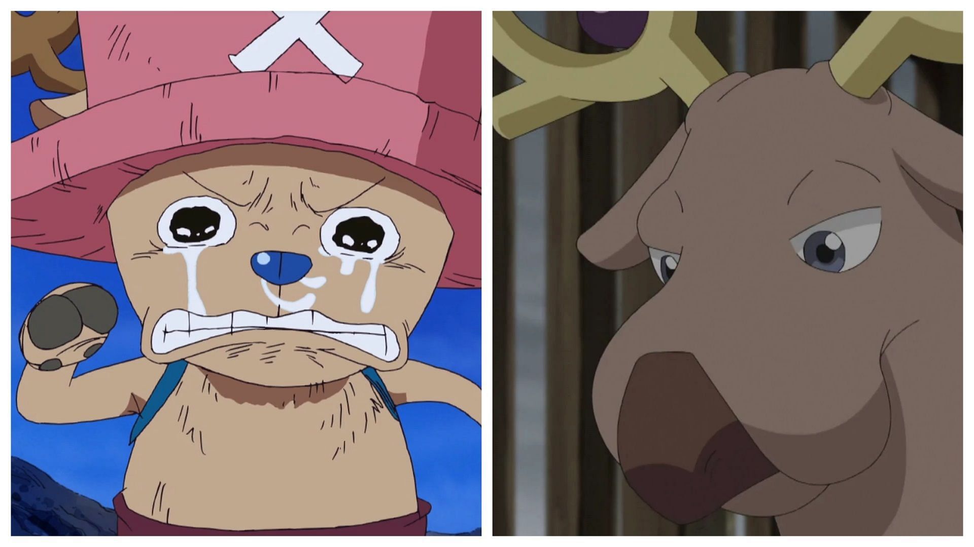 Chopper in One Piece and Stantler in Pok&eacute;mon (Image via Toei Animation/The Pok&eacute;mon Company)