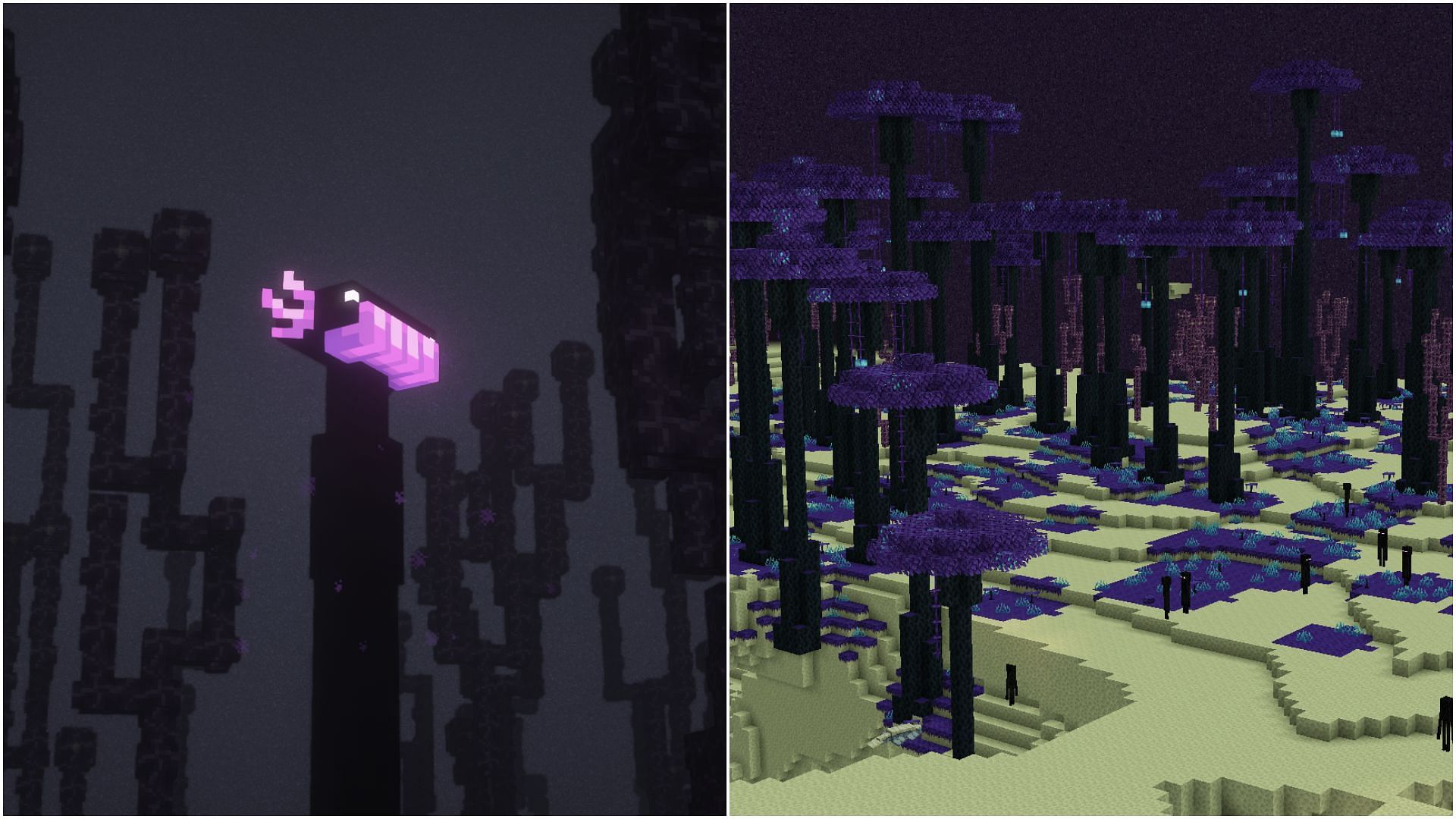 End could receive lots of new biomes and mobs (Image via CurseForge/Enderman Overhaul || CurseForge/Endless Biomes)