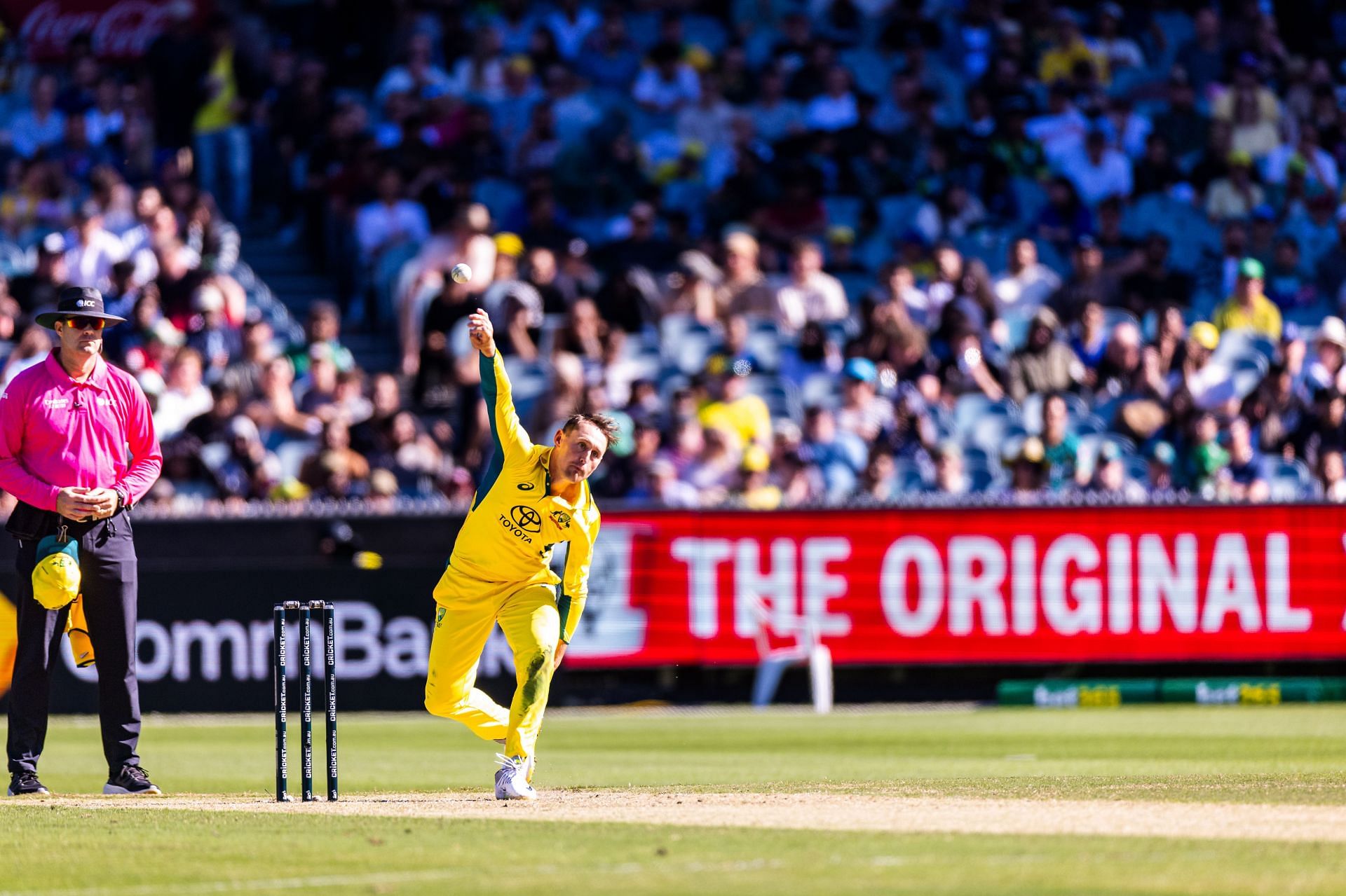 CRICKET: NOV 04 Men