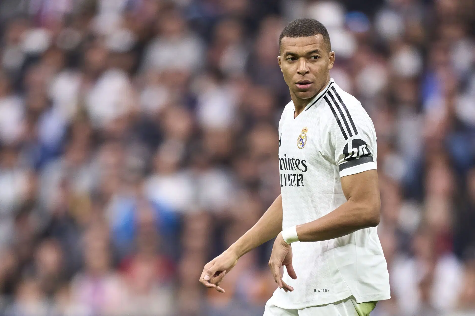 Real Madrid CF v CA Osasuna - La Liga EA Sports - Source: Getty